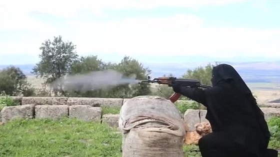 daash1_560